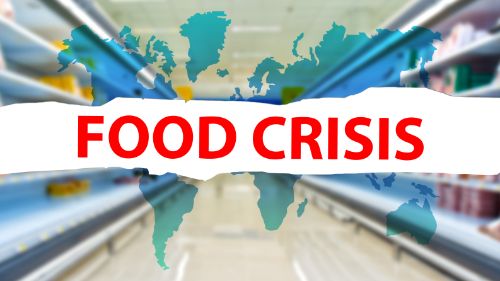 global food crisis