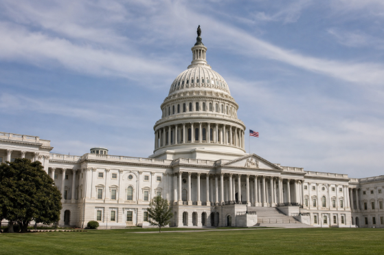 House Passes Stock Trading Ban With Presidential Exemption and Voter ID Requirement